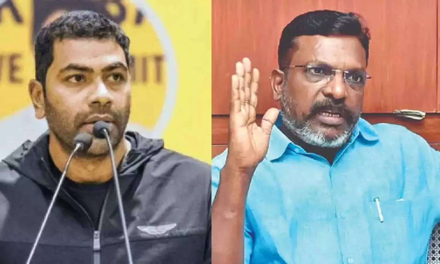 ஆதவ் அர்ஜுனா பொது வாழ்வில் ஈடுபட வேண்டும் என நினைக்கிறார் - திருமாவளவன்