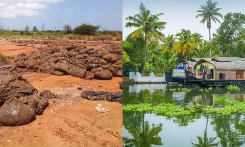 கேரளா கடவுளின் தேசம் என்றால், தமிழ்நாடு கழிவுகளின் தேசமா? - அரசு கவனம் செலுத்துமா?