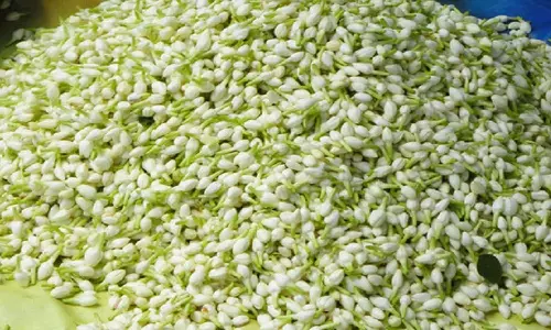 பூக்கள் விலை கடும் உயர்வு- மல்லி கிலோ ரூ.2500-க்கு விற்பனை