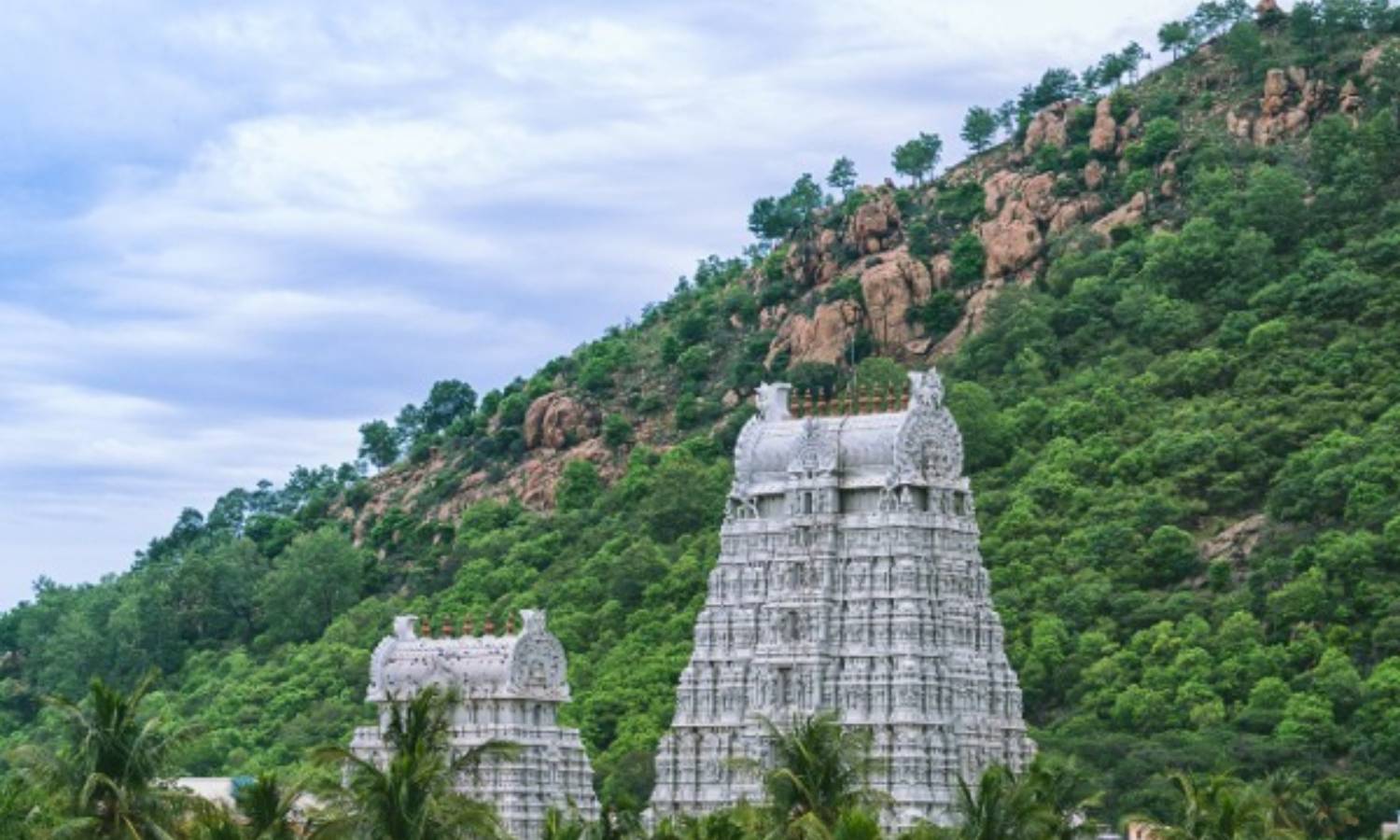 மகா தீப மலையில் தவித்த ஆந்திர பெண்: வனத்துறையினர் மீட்பு