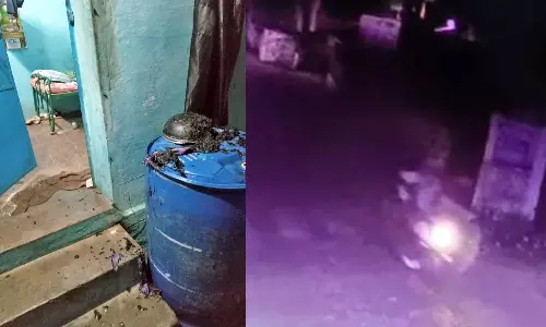 நெல்லை அருகே முன்விரோதம் காரணமாக வியாபாரி வீட்டில் பெட்ரோல் குண்டுவீச்சு