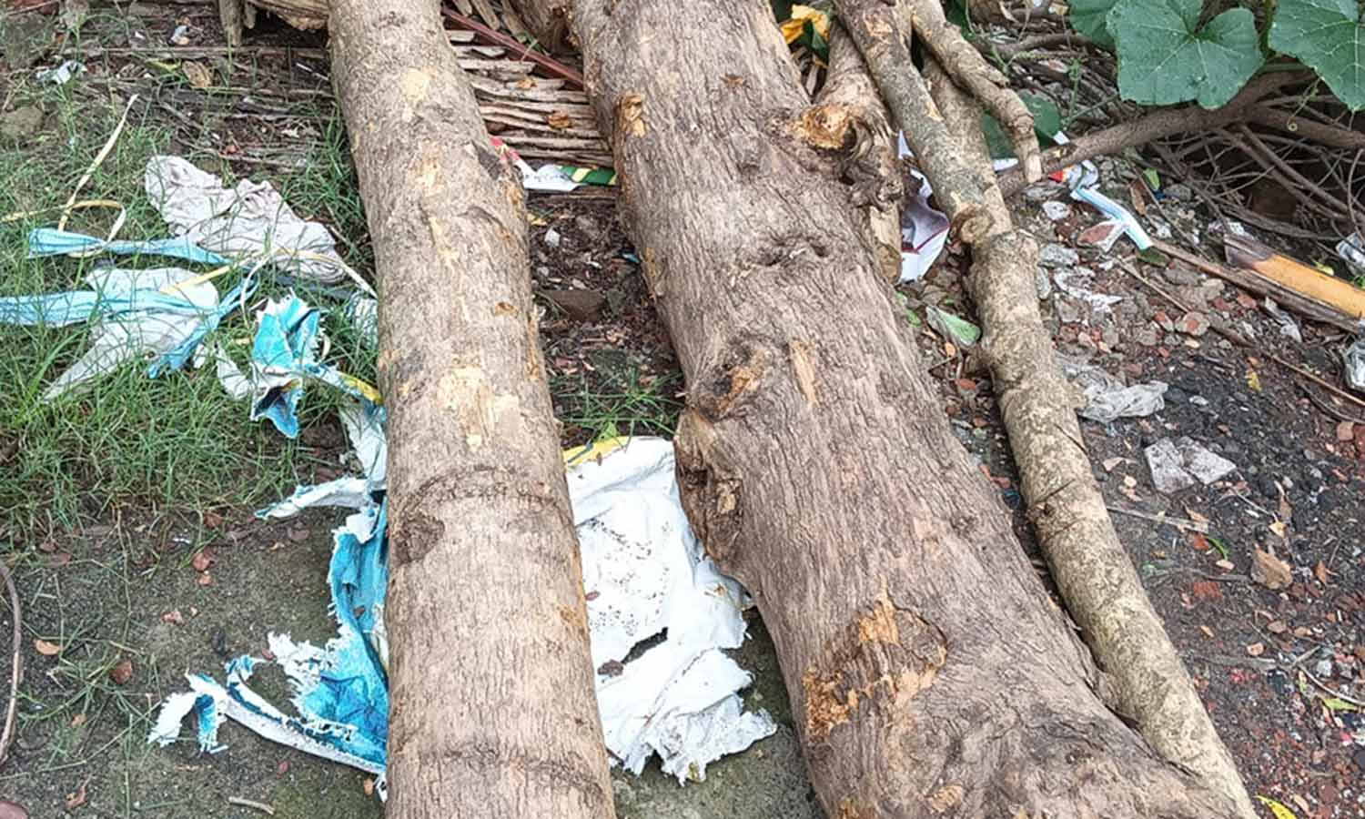 திருடப்பட்ட தேக்கு மரத்தை நகராட்சி அலுவலகத்தில் மர்ம நபர்கள் வைத்து சென்றதால் பரபரப்பு