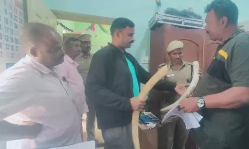 ஓசூரில் யானை தந்தங்கள் கடத்திய 7 பேர் கைது