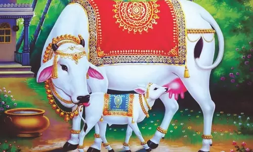 ஆக்கோட்டம் எனப்படும் பசு மடம்