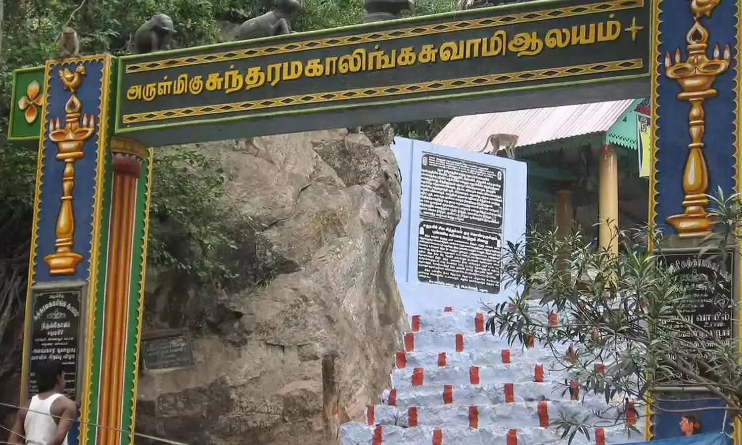 சதுரகிரியில் சாமி தரிசனம் செய்ய 4 நாட்கள் அனுமதி சதுரகிரியில் சாமி தரிசனம் செய்ய 4 நாட்கள் அனுமதி