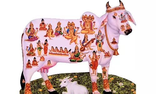 வீட்டுக்குள் வரும் லட்சுமி