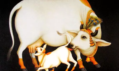 புதிதாக வீடு கட்டி புகும்போது பசுவை அழைத்து வாருங்கள்!