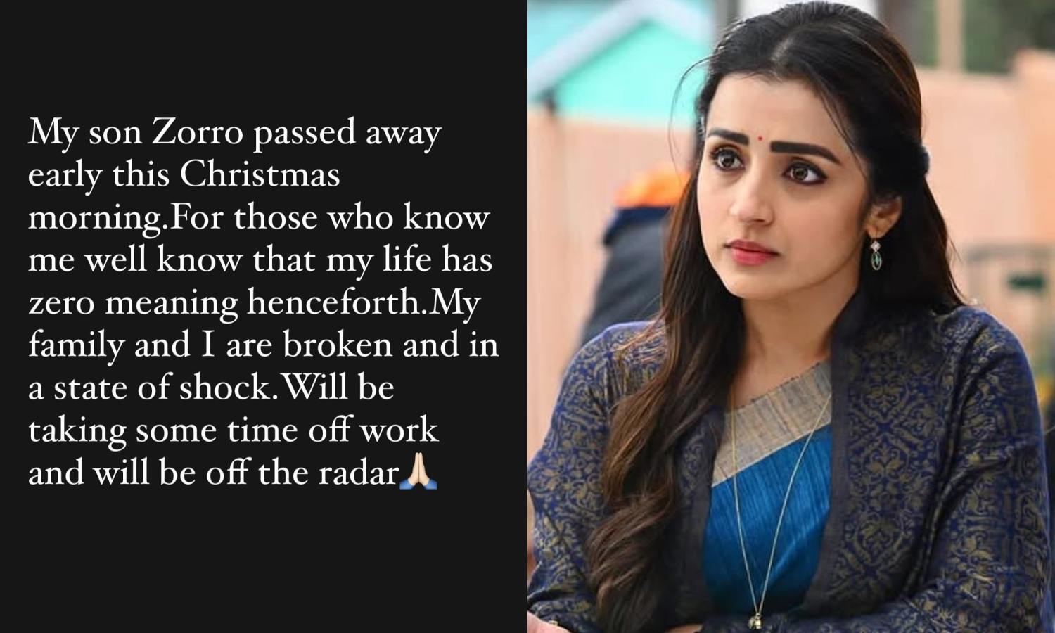 என் மகன் இறந்துட்டான்.. துயர செய்தி பகிர்ந்த திரிஷா