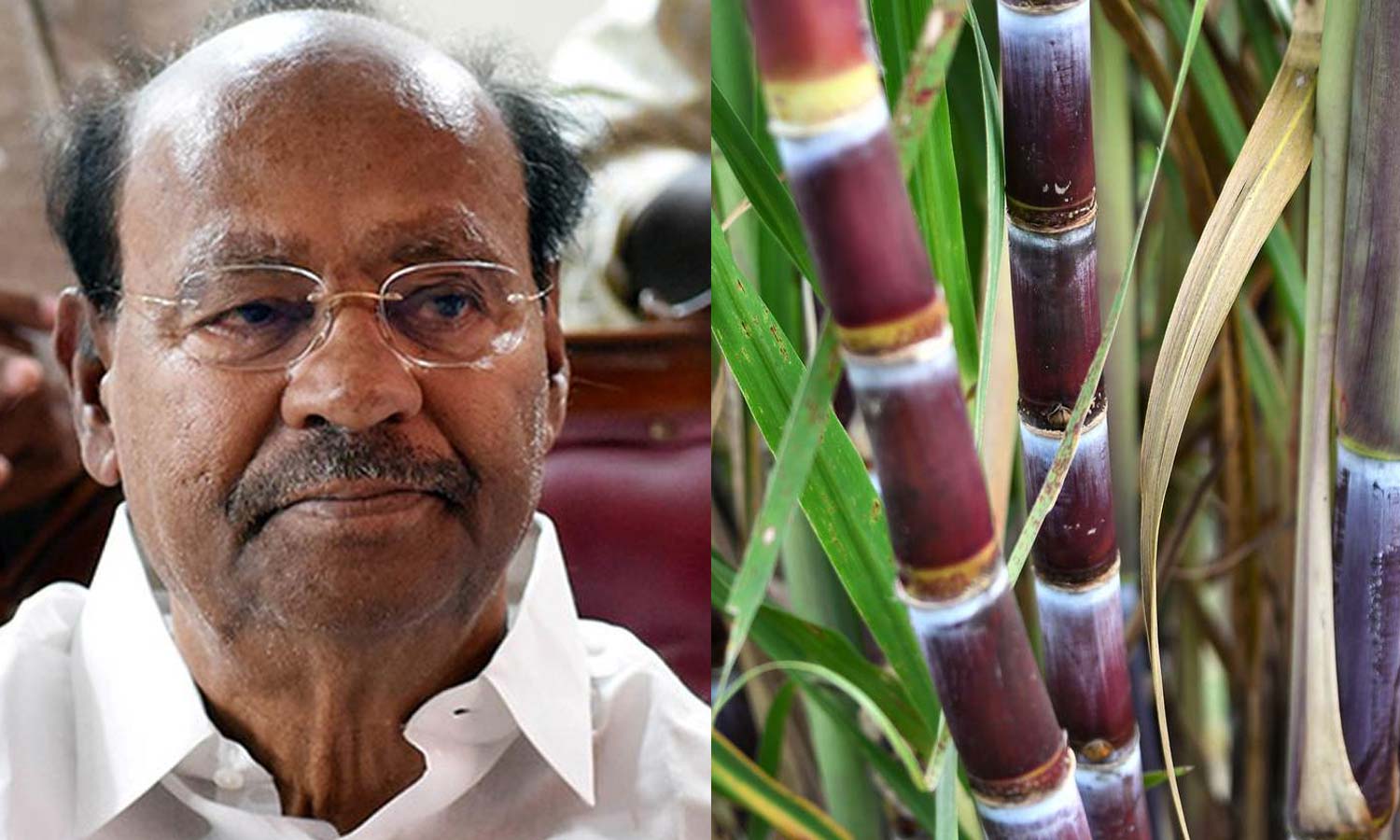 பஞ்சாபில் ஒரு டன் கரும்பு விலை ரூ.4100: தமிழகத்தில் கரும்பு விலை ரூ.3150-டன்னுக்கு ரூ.950 குறைத்து வயிற்றில் அடிப்பது தான் திராவிட மாடலா? ராமதாஸ்