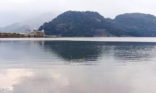 உடுமலை வனப்பகுதியில் சாரல் மழை- முழு கொள்ளளவில் நீடிக்கும் அமராவதி அணை