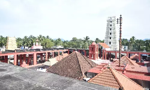 முத்திரிகிணறும், அன்புக்கொடியும்
