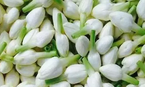 சேலத்தில் குண்டு மல்லிகை கிலோ ரூ.2 ஆயிரத்துக்கு விற்பனை