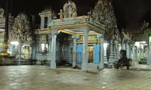 துயரங்களை போக்கும் வன்னி மரம்