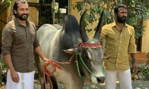 மூன்று பாகங்களாக உருவாக இருக்கும் வெற்றிமாறன் - சூர்யா வாடிவாசல்