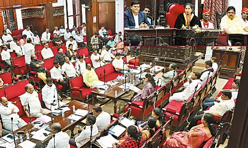 மாடுகளால் ஏற்படும் பிரச்சனை குறித்த விவாதம்: எனது வீட்டுக்கும் தினமும் மாடுகள் வருகின்றன- துணை மேயர்