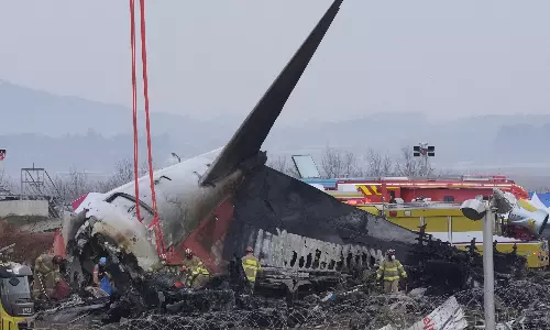 தென் கொரிய விமான விபத்து - இருவர் மட்டும் உயிர் தப்பியது எப்படி?