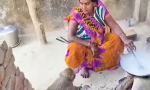 வீட்டு வேலைகள் செய்யும் குரங்கு- வீடியோ வைரல்