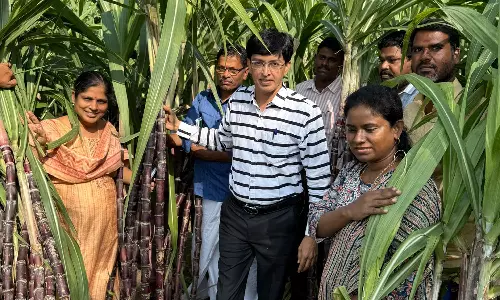 பன்னீர் கரும்பு கொள்முதல் செய்ய அதிகாரி ராதாகிருஷ்ணன் நேரடி ஆய்வு