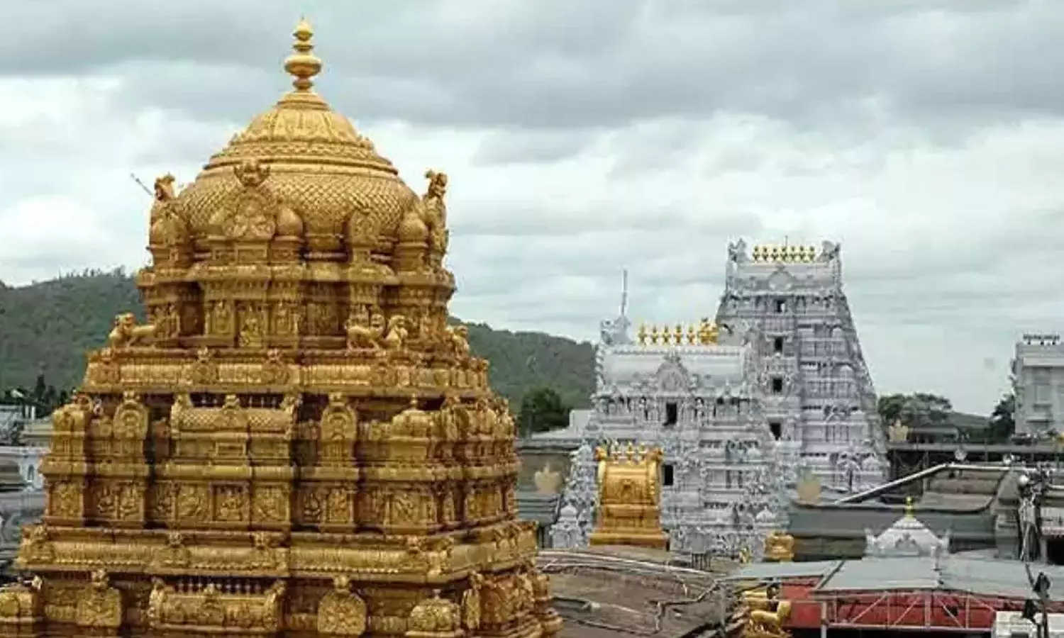 திருப்பதி கோவிலில் பக்தர்கள் கூட்டம் குறைந்தது திருப்பதி கோவிலில் பக்தர்கள் கூட்டம் குறைந்தது