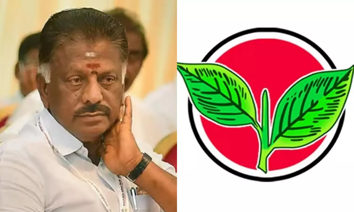 இரட்டை இலை விவகாரம்: தேர்தல் ஆணையத்தில் ஓ.பன்னீர்செல்வம் பதில் மனு இரட்டை இலை விவகாரம்: தேர்தல் ஆணையத்தில் ஓ.பன்னீர்செல்வம் பதில் மனு