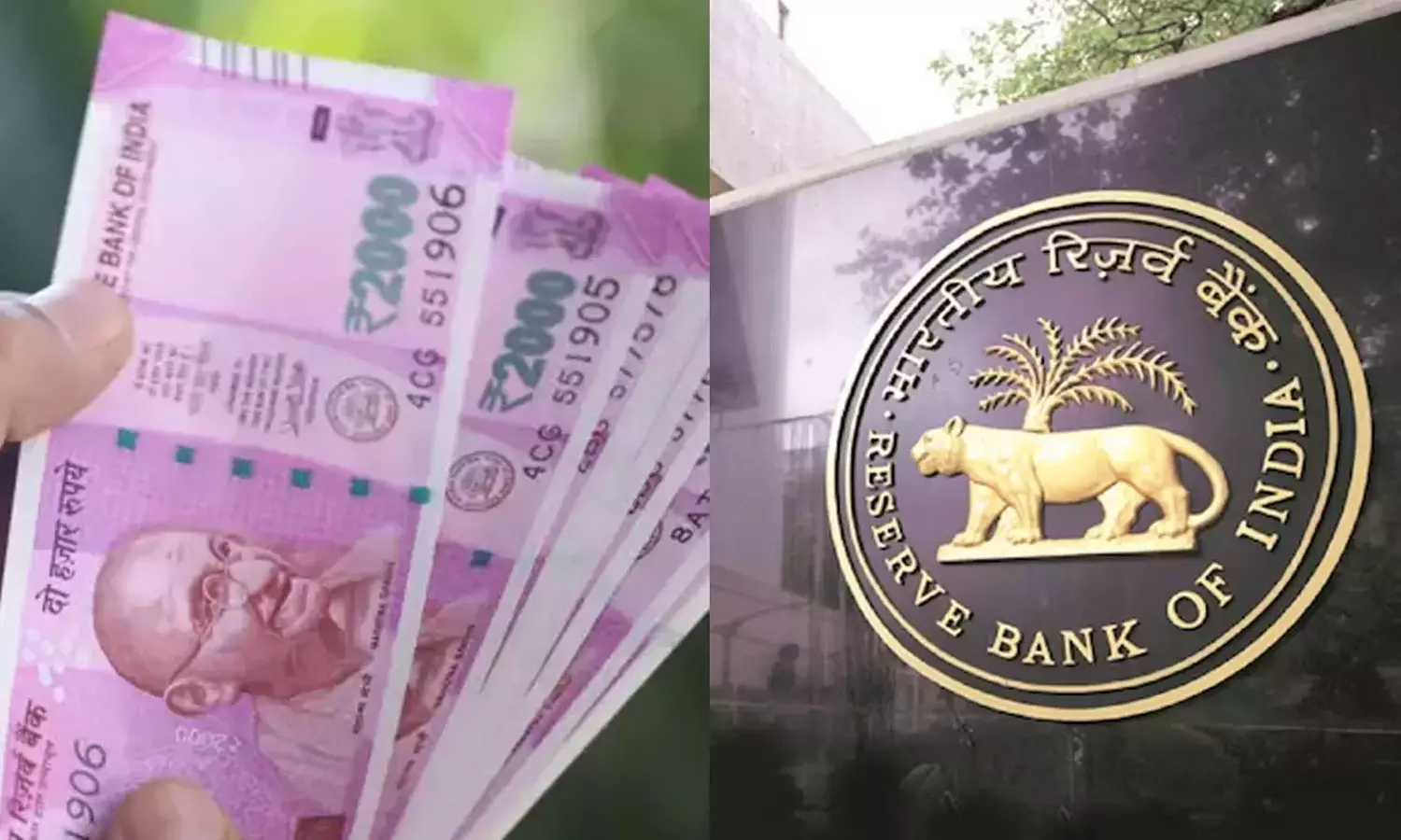 2,000 ரூபாய் நோட்டுகள் 98.2 சதவீதம் வங்கிக்கு திரும்பிவிட்டன: ரிசர்வ் வங்கி 2,000 ரூபாய் நோட்டுகள் 98.2 சதவீதம் வங்கிக்கு திரும்பிவிட்டன: ரிசர்வ் வங்கி