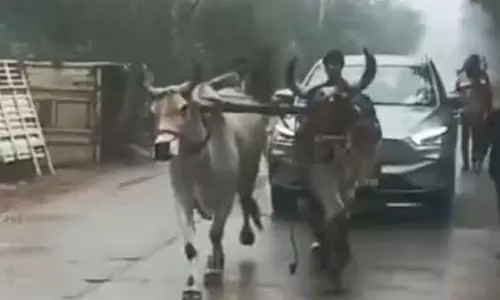 VIDEO: பழுதான மின்சார காரை இழுத்து சென்ற காளைகள்