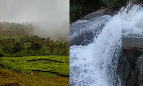 சுவைக்கு சுத்தமான காற்று!