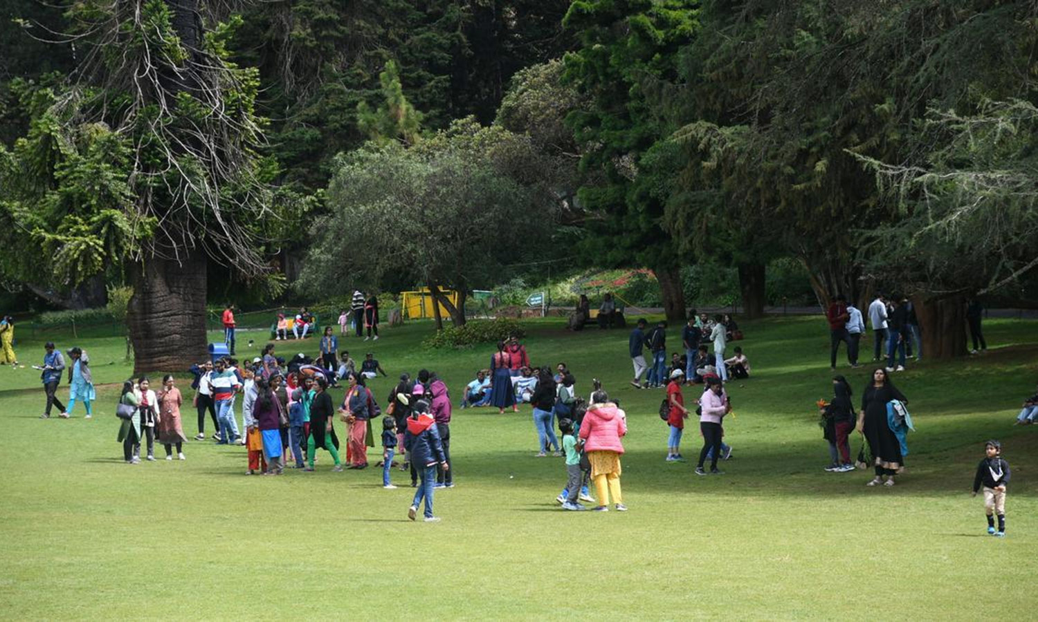 நீலகிரி மாவட்டத்திற்கு கடந்த ஆண்டு சுற்றுலா பயணிகள் வருகை வெகுவாக குறைவு