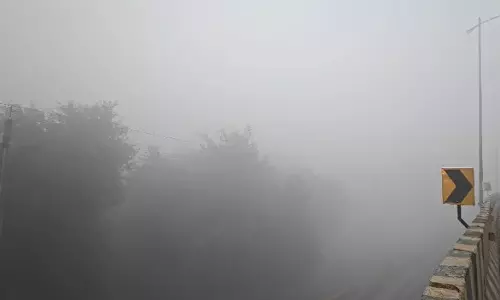 தமிழகம் முழுவதும் பனியின் தாக்கம் அதிகரிப்பு- சுற்றுலா தலங்களில் கூட்டம் குறைந்தது