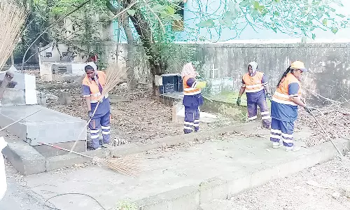 சென்னையில் 203 சுடுகாடுகளில் குப்பைகள்-செடிகள் அகற்றம்