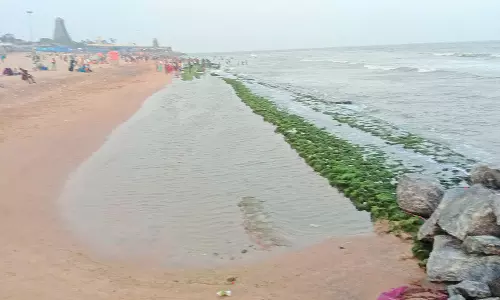 திருச்செந்தூர் கடற்கரையில் காணப்படும் பழங்காலத்து கல் சாலை?