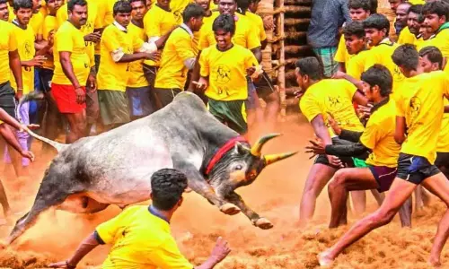 மதுரை ஜல்லிக்கட்டு: மாடுபிடி வீரர்கள், காளைகளுக்கான முன்பதிவு தொடங்கியது