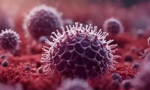 தமிழகத்தில் 2 பேருக்கு எச்எம்பிவி தொற்று உறுதி- சுகாதாரத்துறை அதிகாரப்பூர்வ தகவல்