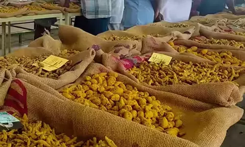 பொங்கல் பண்டிகை: மஞ்சள் மார்க்கெட்டுக்கு 9 நாட்கள் விடுமுறை