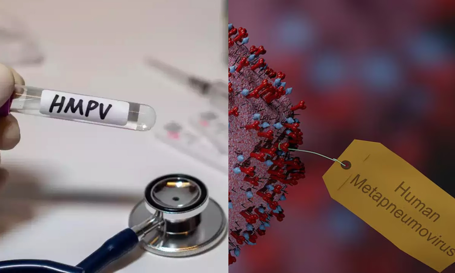 தமிழகத்தில் உருமாறிய HMPV தொற்று ஏதும் பரவவில்லை- சுகாதாரத்துறை