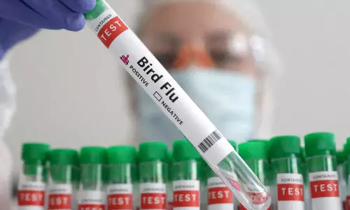 அமெரிக்காவில் முதல் முறை - பறவை காய்ச்சலால் ஒருவர் உயிரிழப்பு