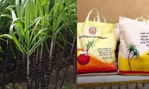 பொங்கல் பரிசு தொகுப்பு வழங்கும் திட்டத்தை இன்று தொடங்கி வைக்கிறார் முதலமைச்சர்