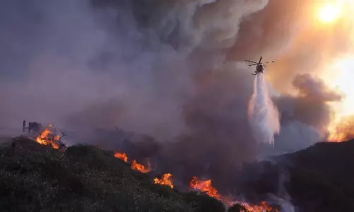 லாஸ் ஏஞ்சல்ஸ் காட்டுத்தீ- ஐந்து பேர் உயிரிழப்பு.. அவசரநிலை பிரகடனம்