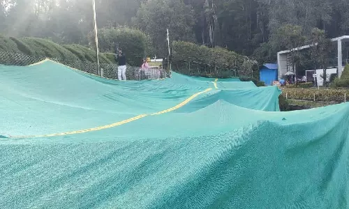 கொடைக்கானலில் தொடரும் உறைபனி: பூங்காவில் மலர் நாற்றுகளை பாதுகாக்க போர்வை