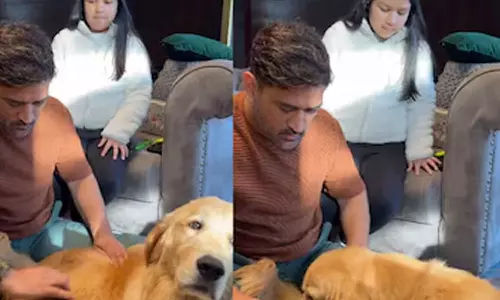 செல்லப்பிராணியை பராமரித்த டோனி- வீடியோ வைரல்