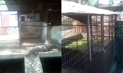 பா.ஜ.க.வைச் சேர்ந்த EX MLA வீட்டில் IT சோதனை - 3 முதலைகள் பறிமுதல்