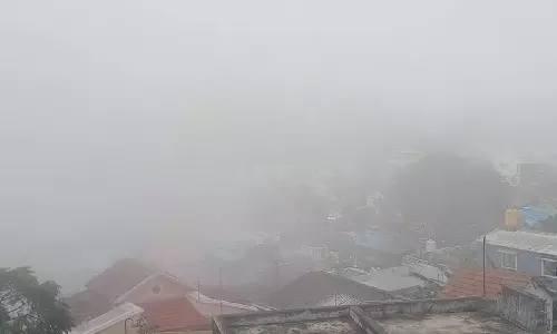 ஏற்காட்டில் வரலாறு காணாத குளிர்: சளி, காய்ச்சலால் அவதிப்படும் பொதுமக்கள்