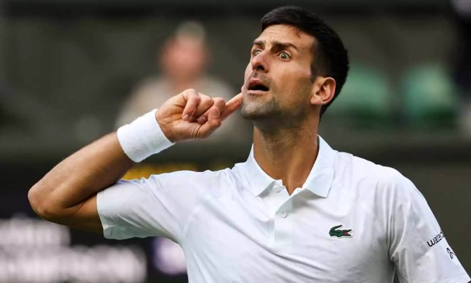 ஆஸ்திரேலிய ஓபன் டென்னிஸ் நாளை தொடக்கம்- ஜோகோவிச் 25-வது கிராண்ட்சிலாமை வெல்வாரா? ஆஸ்திரேலிய ஓபன் டென்னிஸ் நாளை தொடக்கம்- ஜோகோவிச் 25-வது கிராண்ட்சிலாமை வெல்வாரா?