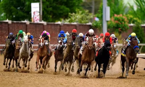 கிண்டியில் பொங்கல் அன்று குதிரை பந்தயம்