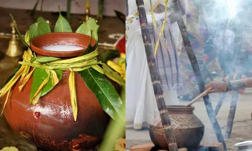 தமிழர் திருநாளாம் பொங்கல் பண்டிகை கோலாகல கொண்டாட்டம்