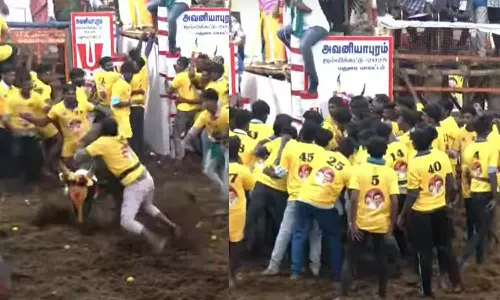 அவனியாபுரம் ஜல்லிக்கட்டு தொடங்கியது: சீறிப்பாயும் காளைகள்... அடக்கும் வீரர்கள்...