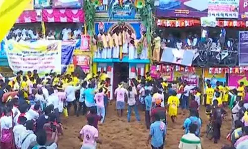 பாலமேடு ஜல்லிக்கட்டு- 7 வீரர்கள் தகுதி நீக்கம்