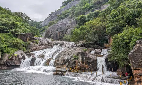 மழையால் மணிமுத்தாறு அருவியில் குளிக்க தடை
