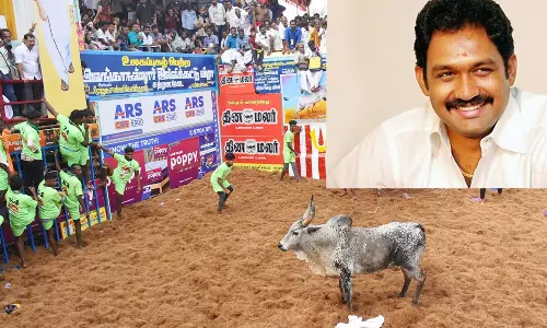 மலேசியாவில் ஜல்லிக்கட்டு போட்டி- இலங்கை முன்னாள் அமைச்சர் விருப்பம்