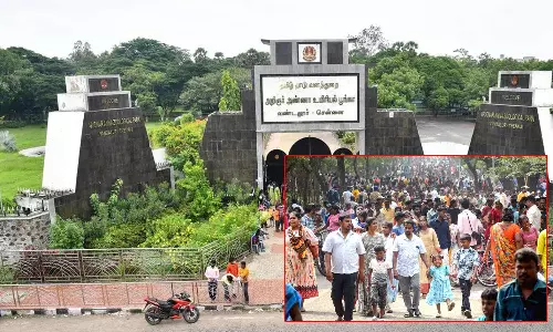 பொங்கல் பண்டிகை விடுமுறை: வண்டலூர் பூங்காவிற்கு வருகை தந்த 80 ஆயிரம் பார்வையாளர்கள்